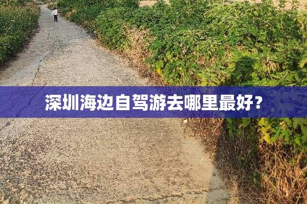 深圳海边自驾游去哪里最好？
