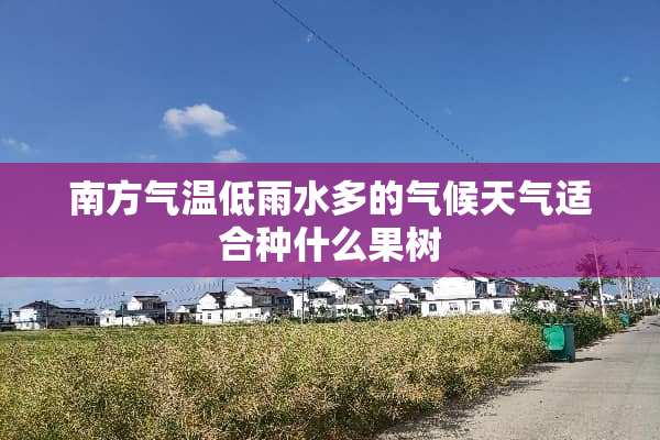 南方气温低雨水多的气候天气适合种什么果树