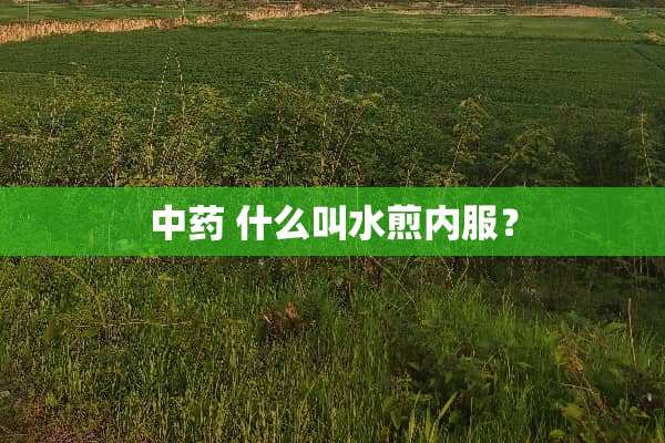 中药 什么叫水煎内服？