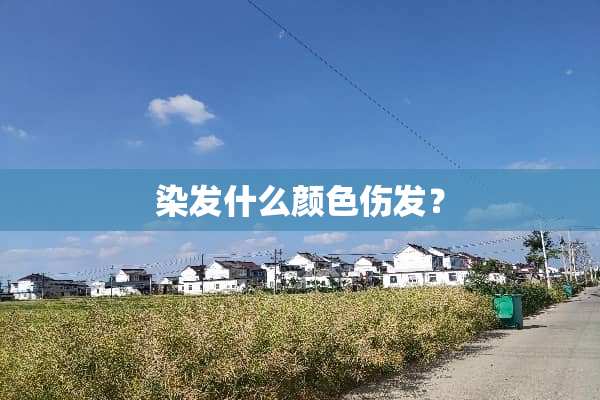 染发什么颜色伤发？