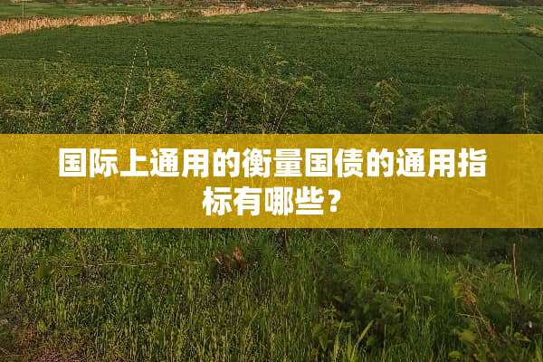 国际上通用的衡量国债的通用指标有哪些？