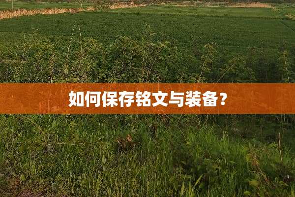 如何保存铭文与装备？