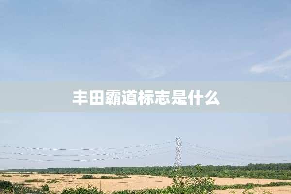 丰田霸道标志是什么