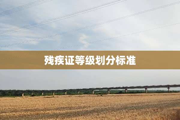 残疾证等级划分标准