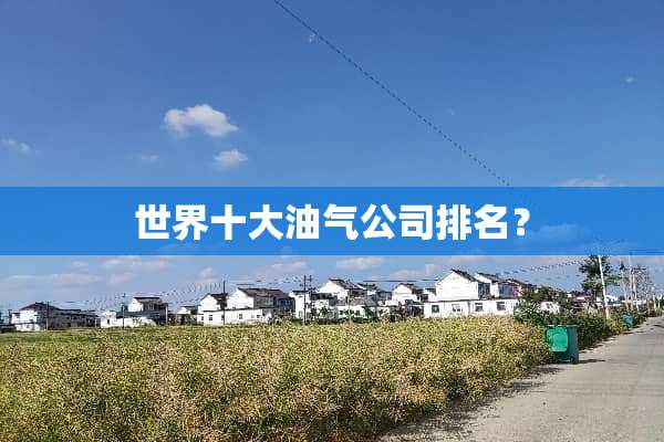 世界十大油气公司排名？