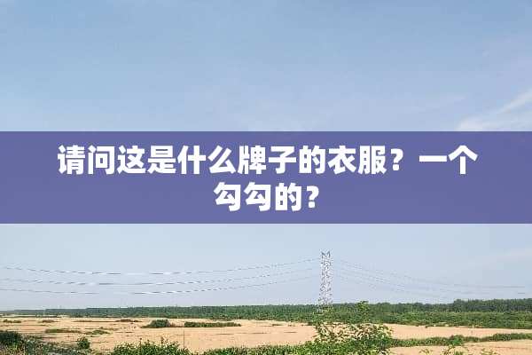请问这是什么牌子的衣服？一个勾勾的？