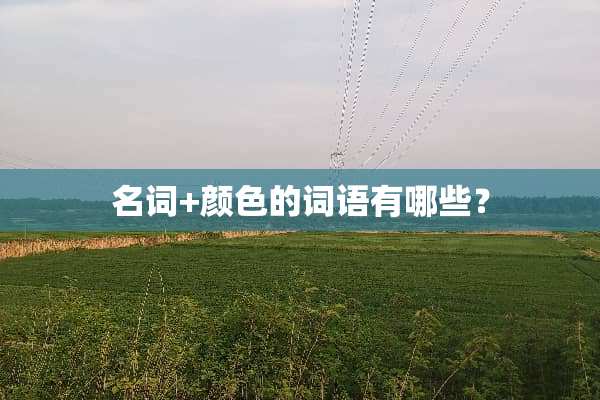 名词+颜色的词语有哪些？