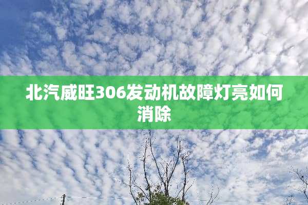 北汽威旺306发动机故障灯亮如何消除