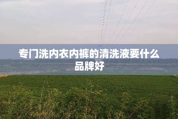 专门洗****的清洗液要什么品牌好