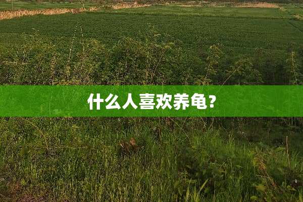 什么人喜欢养龟？