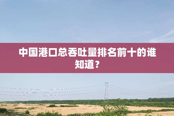 中国港口总吞吐量排名前十的谁知道？