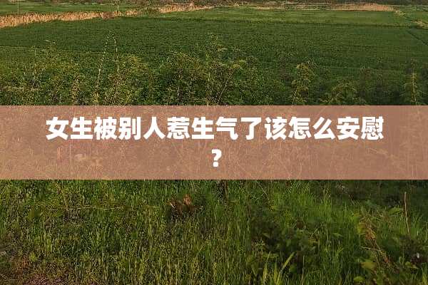 女生被别人惹生气了该怎么安慰？