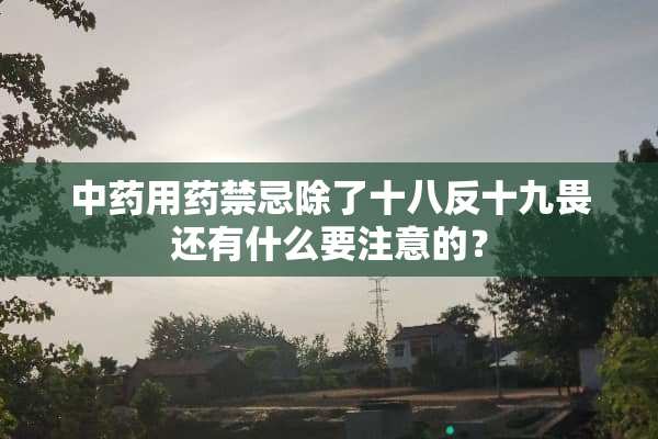 中药用药禁忌除了十八反十九畏还有什么要注意的？