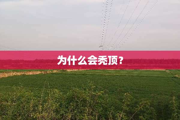 为什么会秃顶？