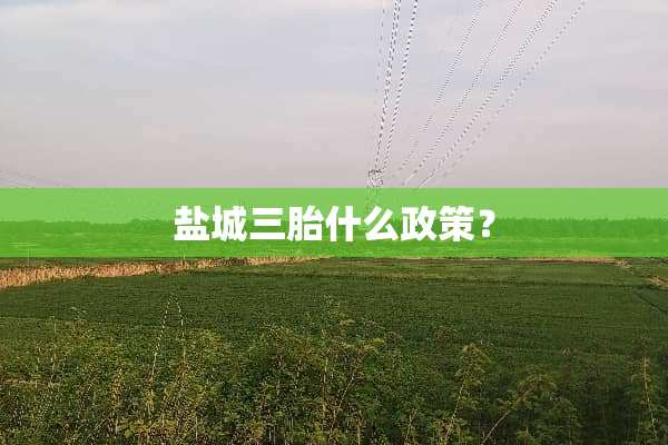 盐城三胎什么政策？