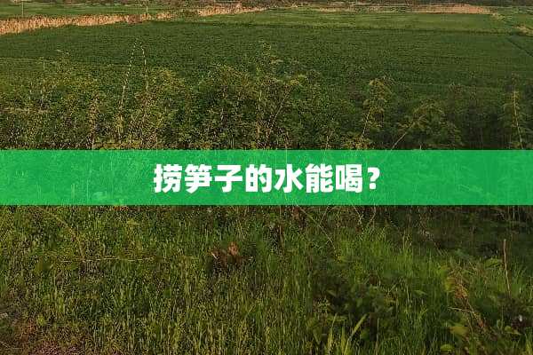 捞笋子的水能喝？