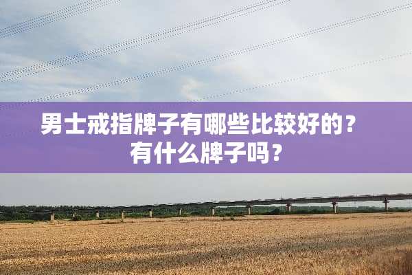 男士戒指牌子有哪些比较好的？ 有什么牌子吗？