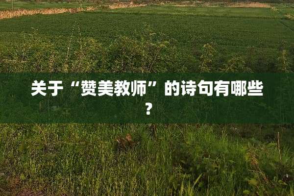 关于“赞美教师”的诗句有哪些？