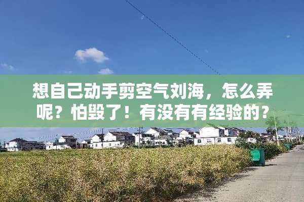 想自己动手剪空气刘海，怎么弄呢？怕毁了！有没有有经验的？