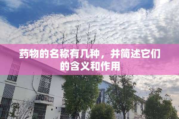 药物的名称有几种，并简述它们的含义和作用