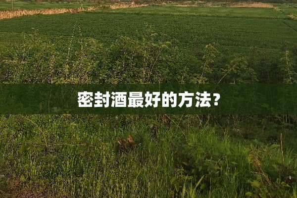 密封酒最好的方法？