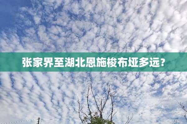张家界至湖北恩施梭布垭多远？