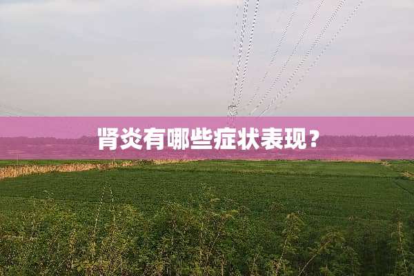 肾炎有哪些症状表现？
