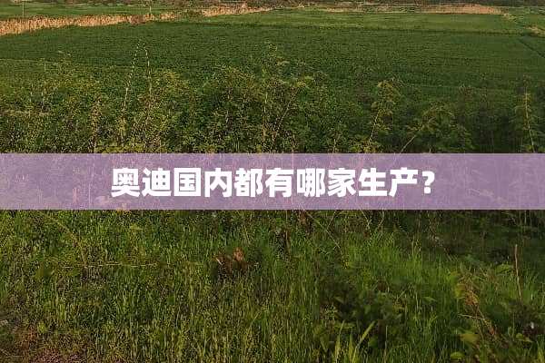 奥迪国内都有哪家生产？