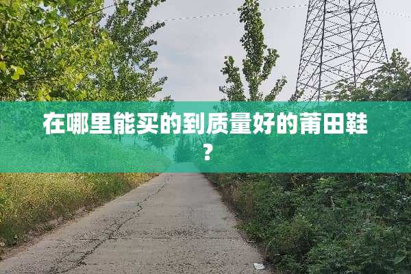 在哪里能买的到质量好的莆田鞋？