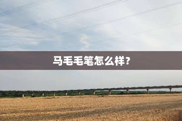 马毛毛笔怎么样？