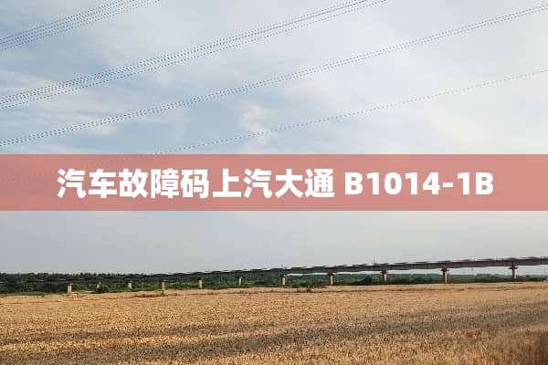 汽车故障码上汽大通 B1014-1B