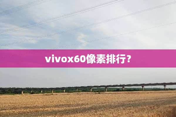 vivox60像素排行？