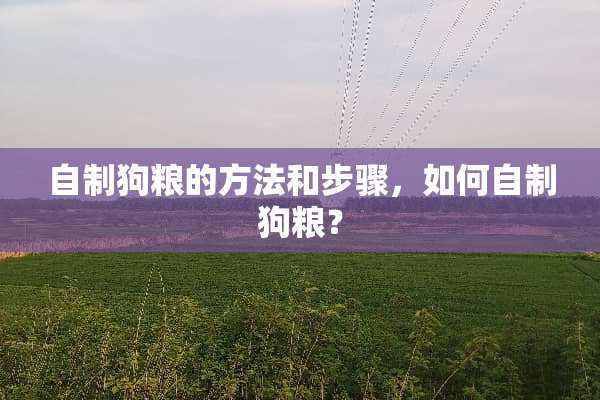 自制狗粮的方法和步骤，如何自制狗粮？