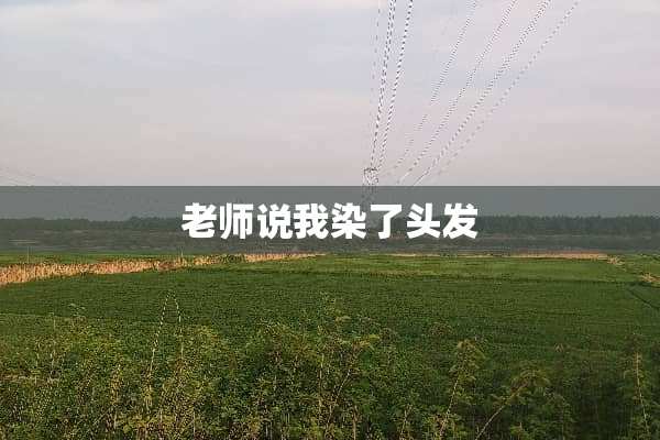 老师说我染了头发