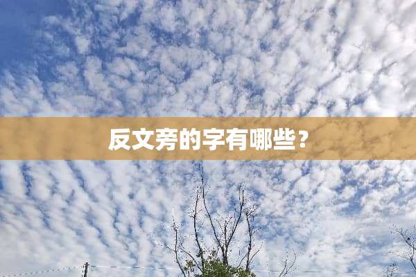 反文旁的字有哪些？