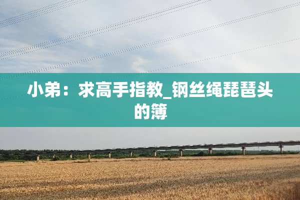 小弟：求高手指教_钢丝绳琵琶头的簿