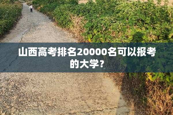 山西高考排名20000名可以报考的大学？