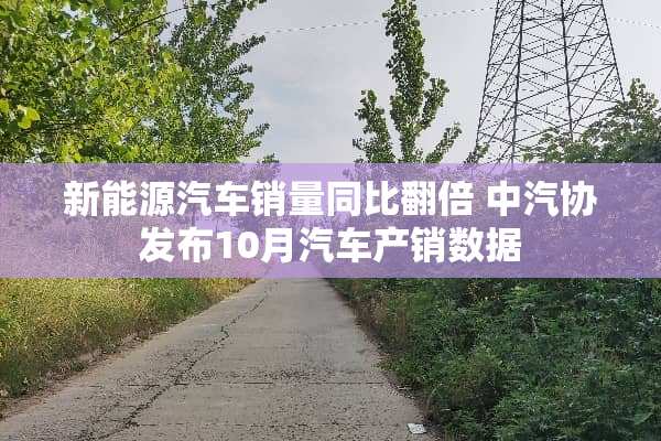 新能源汽车销量同比翻倍 中汽协发布10月汽车产销数据