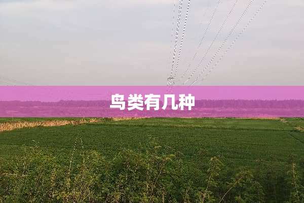 鸟类有几种