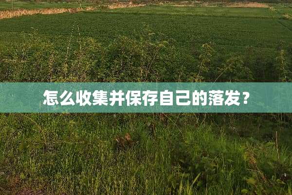 怎么收集并保存自己的落发？