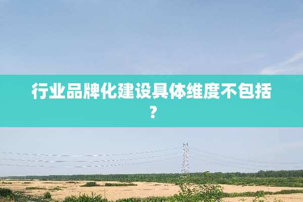 行业品牌化建设具体维度不包括？