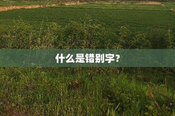 什么是错别字？