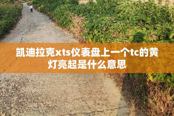凯迪拉克xts仪表盘上一个tc的黄灯亮起是什么意思