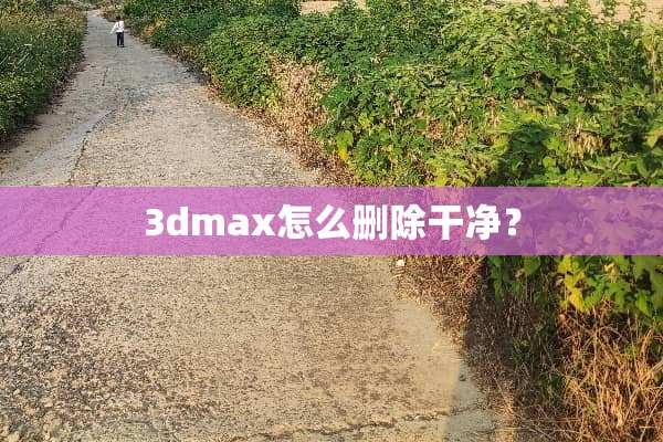 3dmax怎么删除干净？