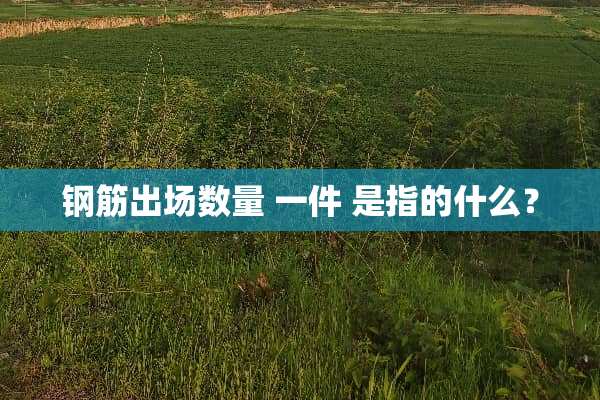 钢筋出场数量 一件 是指的什么？