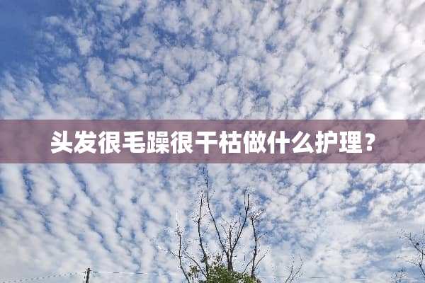 头发很毛躁很干枯做什么护理？