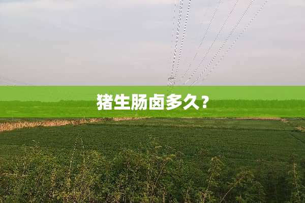 猪生肠卤多久？