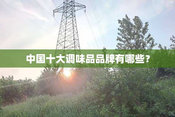 中国十大调味品品牌有哪些？