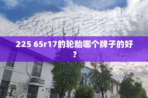225 65r17的轮胎哪个牌子的好？