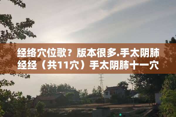 经络*位歌？版本很多.手太*肺经经（共11*）手太*肺十一*